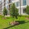 outdoor garden area with lush turf and spacious patios